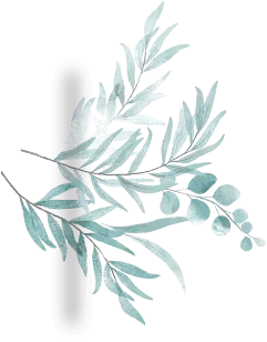 Elegant green botanical salon decor - nature-inspired design for spa and beauty services